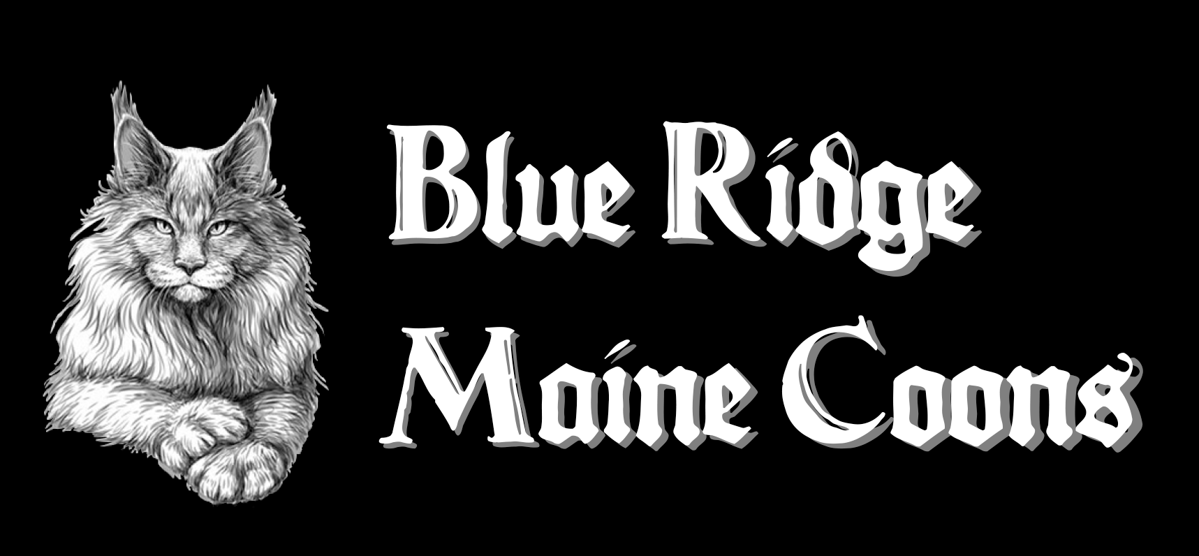Blue Ridge Maine Coons